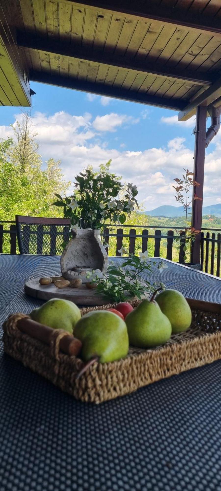 Relax House Lara In Krapinske Toplice Esterno foto